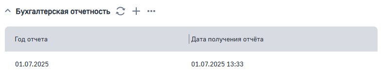 Рисунок 16 — Деталь Бухгалтерская отчетность