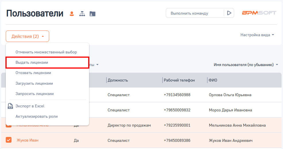 Рисунок 2 — Действие «Выдать лицензии» в реестре раздела «Пользователи системы»